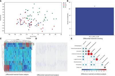 Metabolites of intestinal fora can be used as diagnostic and progressive markers for mild cognitive impairment